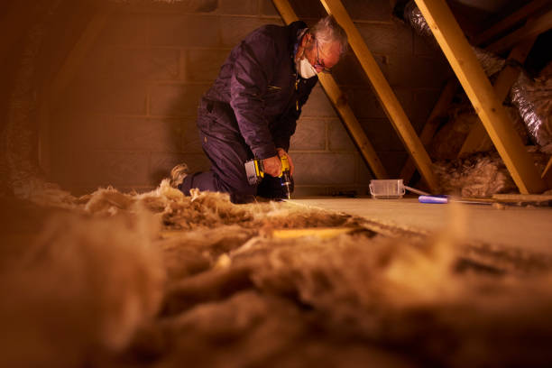 Best Cellulose Insulation  in Hideaway, TX