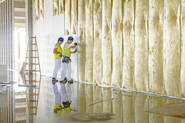 Best Wall Insulation Contractor  in Hideaway, TX